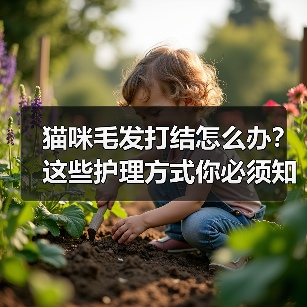 猫咪毛发打结怎么办?这些护理方式你必须知道(图2) 猫咪毛发打结怎么办?这些护理方式你必须知道(图2)