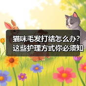 猫咪毛发打结怎么办?这些护理方式你必须知道(图3) 猫咪毛发打结怎么办?这些护理方式你必须知道(图3)