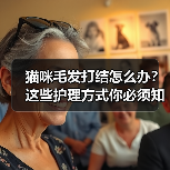 猫咪毛发打结怎么办?这些护理方式你必须知道(图4) 猫咪毛发打结怎么办?这些护理方式你必须知道(图4)