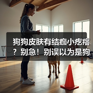 狗狗皮肤有结痂小疙瘩?别急!别误以为是狗癣,这样处理才对!(图2) 狗狗皮肤有结痂小疙瘩?别急!别误以为是狗癣,这样处理才对!(图2)