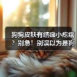 狗狗皮肤有结痂小疙瘩?别急!别误以为是狗癣,这样处理才对!(图3) 狗狗皮肤有结痂小疙瘩?别急!别误以为是狗癣,这样处理才对!(图3)