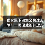 猫咪黑下巴怎么快速去除？一周见效的护理方法（图4）