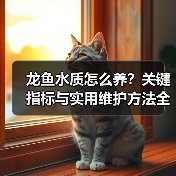 龙鱼水质怎么养?关键指标与实用维护方法全解析(图4) 龙鱼水质怎么养?关键指标与实用维护方法全解析(图4)
