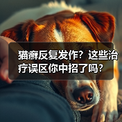 猫癣反复发作?这些治疗误区你中招了吗?(图3) 猫癣反复发作?这些治疗误区你中招了吗?(图3)