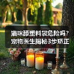 猫咪舔塑料袋危险吗?宠物医生揭秘3步矫正法(图4) 猫咪舔塑料袋危险吗?宠物医生揭秘3步矫正法(图4)