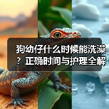 狗幼仔什么时候能洗澡?正确时间与护理全解析(图1) 狗幼仔什么时候能洗澡?正确时间与护理全解析(图1)