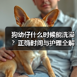 狗幼仔什么时候能洗澡?正确时间与护理全解析(图2) 狗幼仔什么时候能洗澡?正确时间与护理全解析(图2)