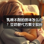 乳糖不耐的猫咪怎么办?豆奶替代方案全解析(图1) 乳糖不耐的猫咪怎么办?豆奶替代方案全解析(图1)
