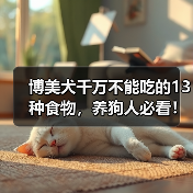 博美犬千万不能吃的13种食物，养狗人必看！（图2）