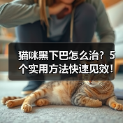 猫咪黑下巴怎么治?5个实用方法快速见效!(图1) 猫咪黑下巴怎么治?5个实用方法快速见效!(图1)