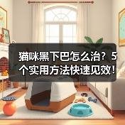 猫咪黑下巴怎么治?5个实用方法快速见效!(图4) 猫咪黑下巴怎么治?5个实用方法快速见效!(图4)