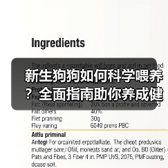 新生狗狗如何科学喂养?全面指南助你养成健康习惯(图1) 新生狗狗如何科学喂养?全面指南助你养成健康习惯(图1)
