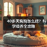 40多天狗狗怎么吃?科学喂养全攻略(图3) 40多天狗狗怎么吃?科学喂养全攻略(图3)