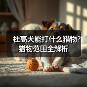 杜高犬能打什么猎物?猎物范围全解析(图2) 杜高犬能打什么猎物?猎物范围全解析(图2)