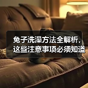 兔子洗澡方法全解析,这些注意事项必须知道!(图4) 兔子洗澡方法全解析,这些注意事项必须知道!(图4)