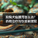 狗狗犬瘟腹泻怎么治?药物治疗与饮食调理双管齐下(图1) 狗狗犬瘟腹泻怎么治?药物治疗与饮食调理双管齐下(图1)