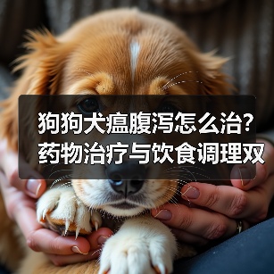 狗狗犬瘟腹泻怎么治?药物治疗与饮食调理双管齐下(图2) 狗狗犬瘟腹泻怎么治?药物治疗与饮食调理双管齐下(图2)