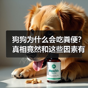 狗狗为什么会吃粪便?真相竟然和这些因素有关(图4) 狗狗为什么会吃粪便?真相竟然和这些因素有关(图4)