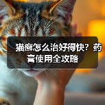猫癣怎么治好得快?药膏使用全攻略(图2) 猫癣怎么治好得快?药膏使用全攻略(图2)