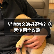 猫癣怎么治好得快?药膏使用全攻略(图3) 猫癣怎么治好得快?药膏使用全攻略(图3)