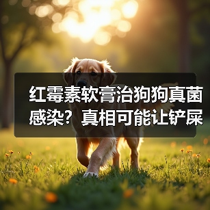 红霉素软膏治狗狗真菌感染？真相可能让铲屎官震惊！（图3）