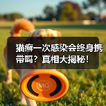 猫癣一次感染会终身携带吗?真相大揭秘!(图4) 猫癣一次感染会终身携带吗?真相大揭秘!(图4)