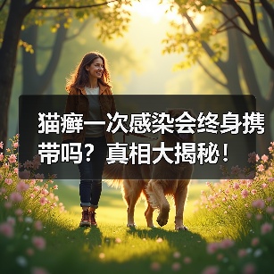 猫癣一次感染会终身携带吗?真相大揭秘!(图3) 猫癣一次感染会终身携带吗?真相大揭秘!(图3)