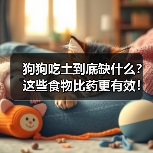 狗狗吃土到底缺什么?这些食物比药更有效!(图1) 狗狗吃土到底缺什么?这些食物比药更有效!(图1)