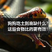 狗狗吃土到底缺什么?这些食物比药更有效!(图4) 狗狗吃土到底缺什么?这些食物比药更有效!(图4)