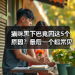 猫咪黑下巴竟因这5个原因?最后一个超常见却被忽视!(图4) 猫咪黑下巴竟因这5个原因?最后一个超常见却被忽视!(图4)
