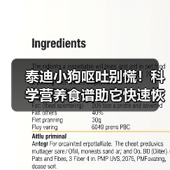 泰迪小狗呕吐别慌!科学营养食谱助它快速恢复(图2) 泰迪小狗呕吐别慌!科学营养食谱助它快速恢复(图2)
