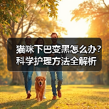猫咪下巴变黑怎么办?科学护理方法全解析(图2) 猫咪下巴变黑怎么办?科学护理方法全解析(图2)