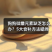狗狗微量元素缺乏怎么办?5大食补方法拯救挑食犬(图1) 狗狗微量元素缺乏怎么办?5大食补方法拯救挑食犬(图1)