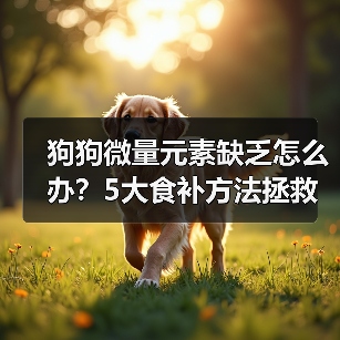 狗狗微量元素缺乏怎么办?5大食补方法拯救挑食犬(图2) 狗狗微量元素缺乏怎么办?5大食补方法拯救挑食犬(图2)