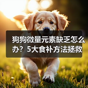 狗狗微量元素缺乏怎么办?5大食补方法拯救挑食犬(图3) 狗狗微量元素缺乏怎么办?5大食补方法拯救挑食犬(图3)