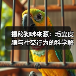 揭秘狗味来源：毛囊皮脂与社交行为的科学解析（图3）