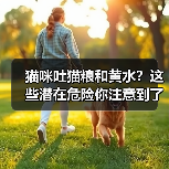 猫咪吐猫粮和黄水?这些潜在危险你注意到了吗?(图2) 猫咪吐猫粮和黄水?这些潜在危险你注意到了吗?(图2)