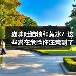 猫咪吐猫粮和黄水?这些潜在危险你注意到了吗?(图3) 猫咪吐猫粮和黄水?这些潜在危险你注意到了吗?(图3)