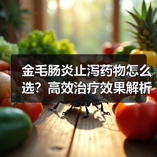 金毛肠炎止泻药物怎么选?高效治疗效果解析(图2) 金毛肠炎止泻药物怎么选?高效治疗效果解析(图2)