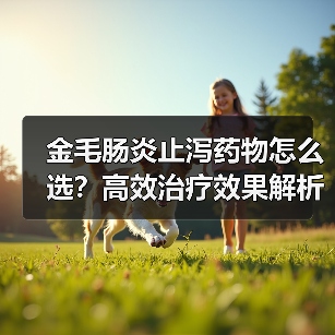 金毛肠炎止泻药物怎么选?高效治疗效果解析(图4) 金毛肠炎止泻药物怎么选?高效治疗效果解析(图4)