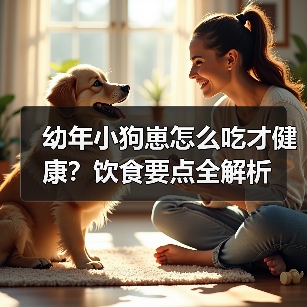 幼年小狗崽怎么吃才健康?饮食要点全解析(图1) 幼年小狗崽怎么吃才健康?饮食要点全解析(图1)