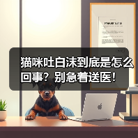 猫咪吐白沫到底是怎么回事?别急着送医!(图1) 猫咪吐白沫到底是怎么回事?别急着送医!(图1)