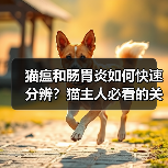 猫瘟和肠胃炎如何快速分辨？猫主人必看的关键区别！（图4）