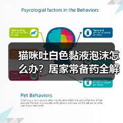 猫咪吐白色黏液泡沫怎么办?居家常备药全解析(图3) 猫咪吐白色黏液泡沫怎么办?居家常备药全解析(图3)
