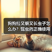 狗狗拉又细又长虫子怎么办?驱虫药正确使用全解析(图4) 狗狗拉又细又长虫子怎么办?驱虫药正确使用全解析(图4)