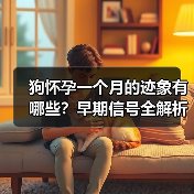 狗怀孕一个月的迹象有哪些?早期信号全解析(图3) 狗怀孕一个月的迹象有哪些?早期信号全解析(图3)