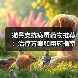 猫鼻支抗病毒药物推荐：治疗方案和用药指南（图3）