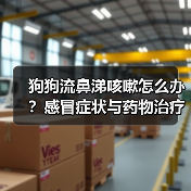 狗狗流鼻涕咳嗽怎么办?感冒症状与药物治疗指南(图1) 狗狗流鼻涕咳嗽怎么办?感冒症状与药物治疗指南(图1)