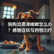 狗狗流鼻涕咳嗽怎么办?感冒症状与药物治疗指南(图3) 狗狗流鼻涕咳嗽怎么办?感冒症状与药物治疗指南(图3)