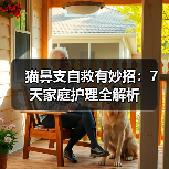 猫鼻支自救有妙招：7天家庭护理全解析（图2）